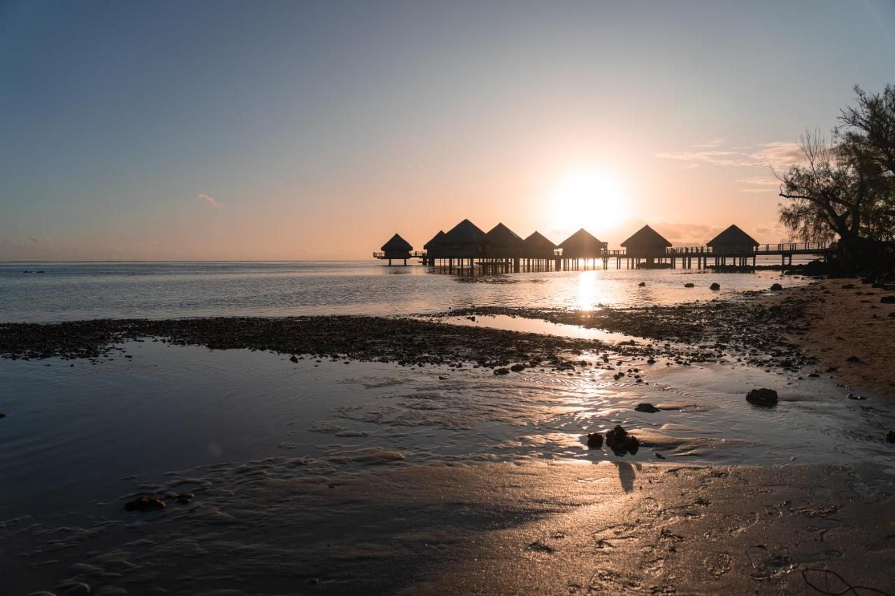 Douceur Tropicale Proximite Plage Et Commerces Punaauia  Екстер'єр фото